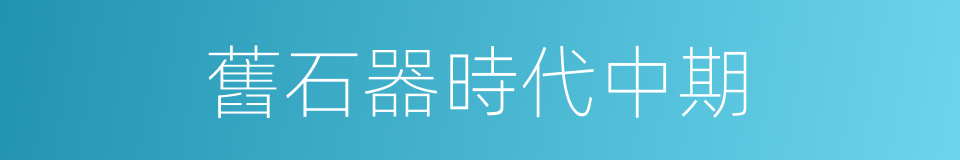 舊石器時代中期的同義詞