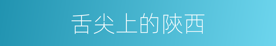 舌尖上的陝西的同義詞