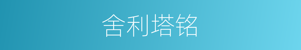舍利塔铭的同义词