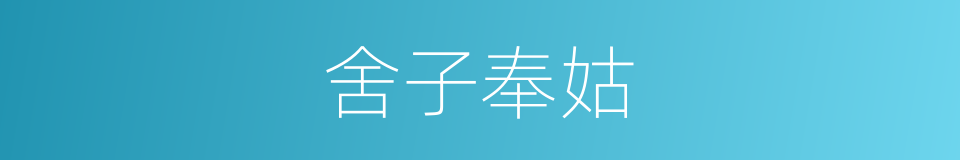 舍子奉姑的同义词