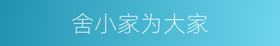 舍小家为大家的同义词
