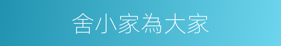 舍小家為大家的同義詞