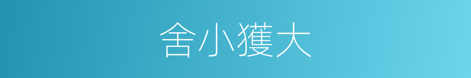 舍小獲大的同義詞
