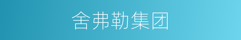 舍弗勒集团的同义词
