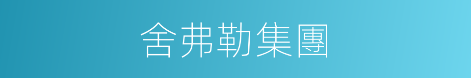 舍弗勒集團的同義詞