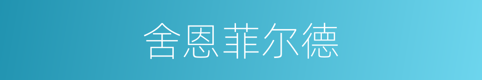 舍恩菲尔德的同义词