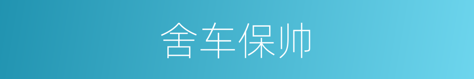 舍车保帅的意思