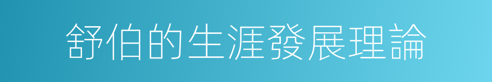 舒伯的生涯發展理論的同義詞