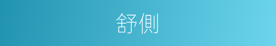 舒側的同義詞