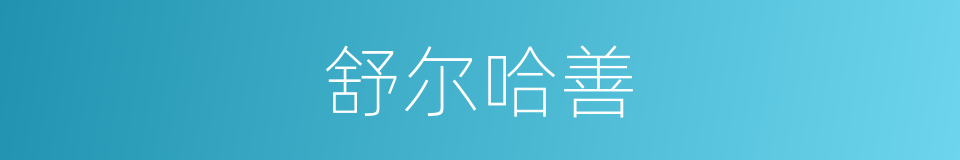 舒尔哈善的同义词