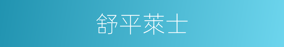 舒平萊士的同義詞