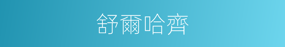 舒爾哈齊的同義詞