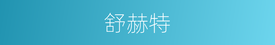 舒赫特的同义词