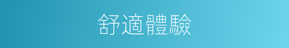 舒適體驗的同義詞