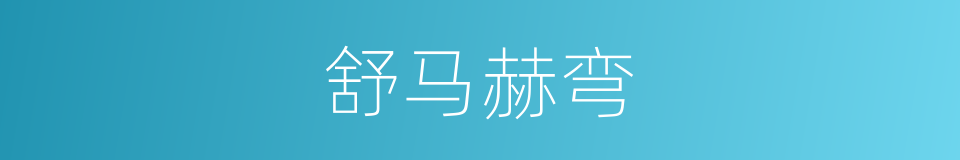 舒马赫弯的同义词