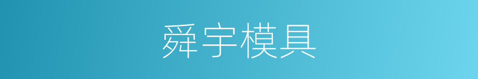 舜宇模具的同义词