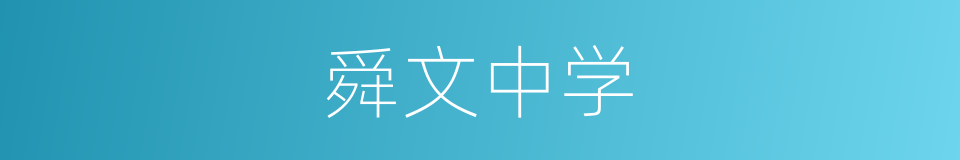 舜文中学的同义词