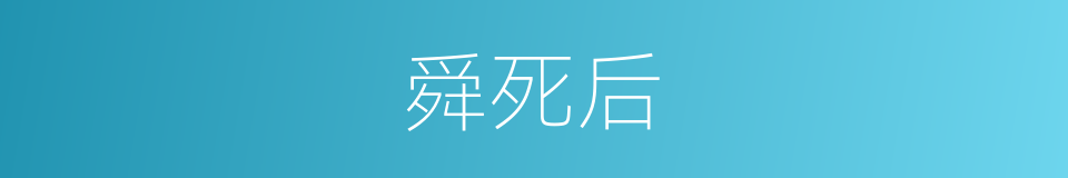 舜死后的同义词