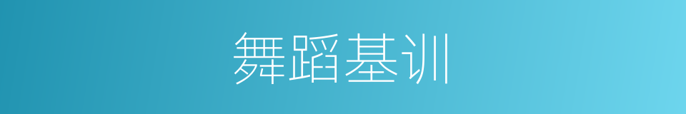 舞蹈基训的同义词