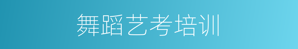 舞蹈艺考培训的同义词