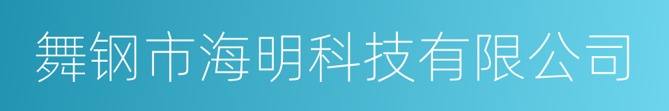 舞钢市海明科技有限公司的意思