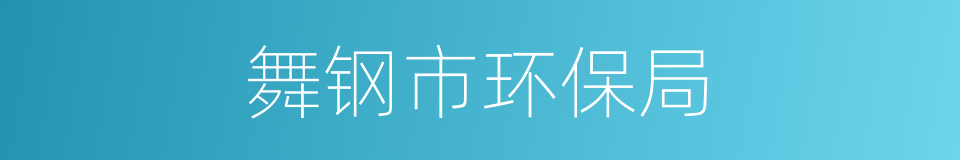 舞钢市环保局的同义词