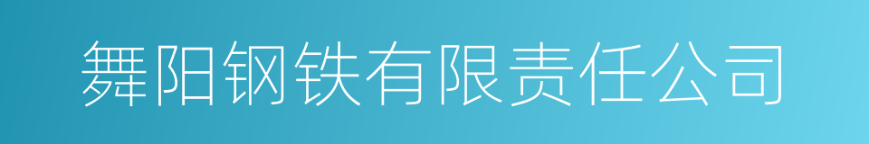 舞阳钢铁有限责任公司的同义词