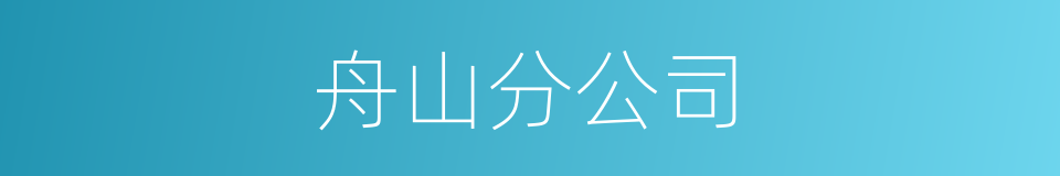 舟山分公司的同义词