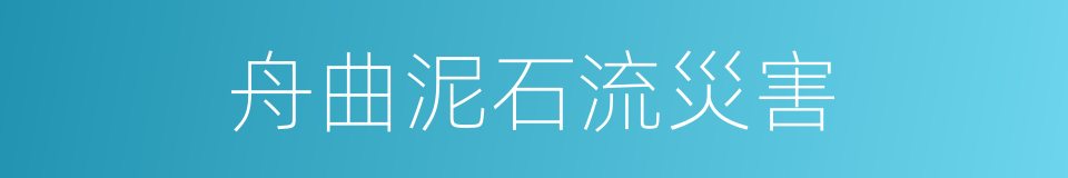 舟曲泥石流災害的同義詞