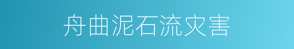 舟曲泥石流灾害的同义词