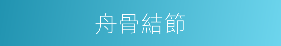 舟骨結節的同義詞