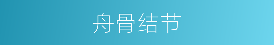 舟骨结节的同义词