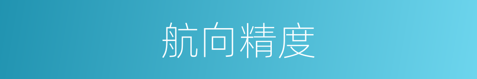 航向精度的同义词
