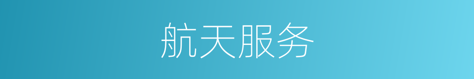 航天服务的同义词