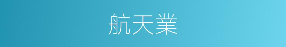 航天業的同義詞
