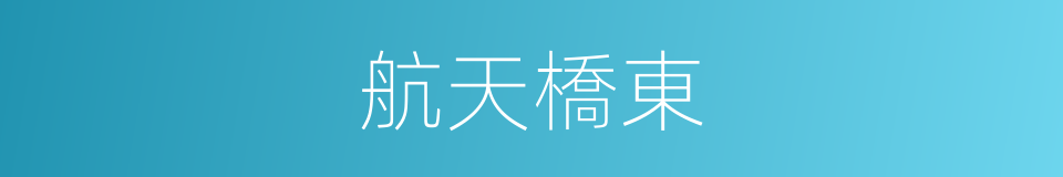 航天橋東的同義詞