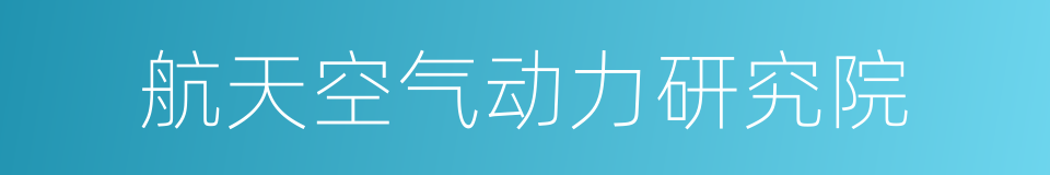 航天空气动力研究院的同义词