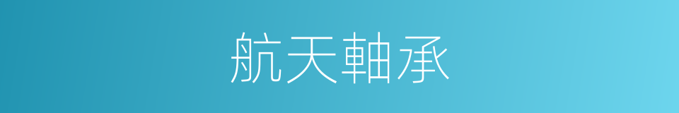 航天軸承的同義詞