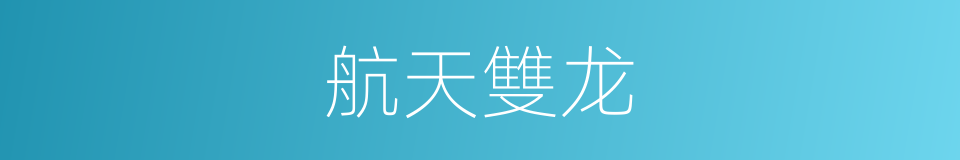 航天雙龙的同義詞