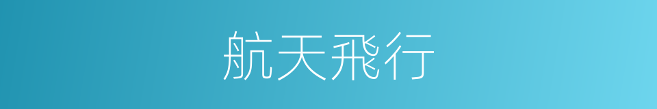 航天飛行的同義詞