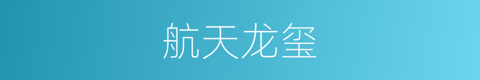 航天龙玺的同义词
