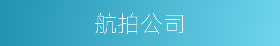 航拍公司的同义词