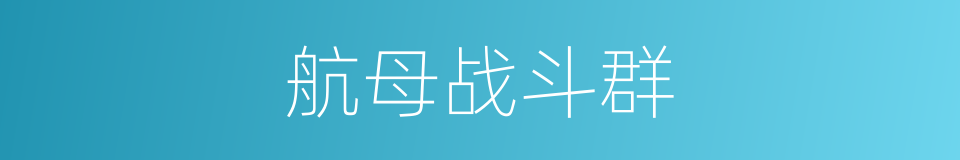 航母战斗群的同义词