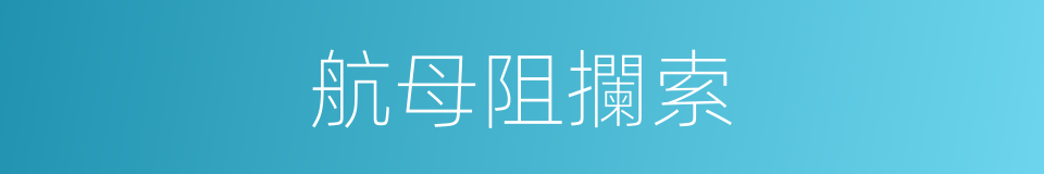 航母阻攔索的同義詞