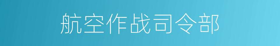 航空作战司令部的同义词