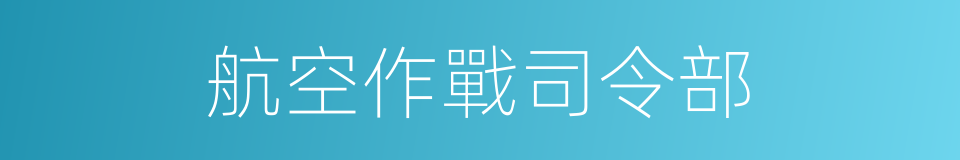 航空作戰司令部的同義詞