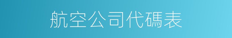航空公司代碼表的同義詞