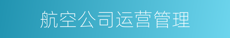 航空公司运营管理的同义词