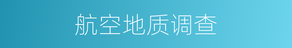航空地质调查的同义词