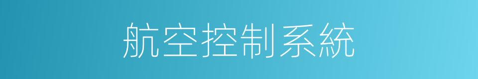 航空控制系統的同義詞